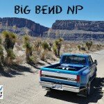 Big Bend Wildlife Feature Photo