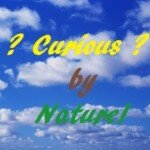 Profile photo of Curious by Nature