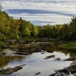 Profile picture of Kim Oslund