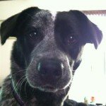 Profile picture of Sherri Rabren