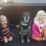 Profile picture of mike dunham