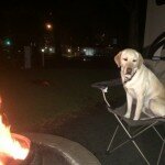 Profile picture of John&Susan