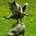 Group logo of Taterheads