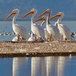 Group logo of Photography