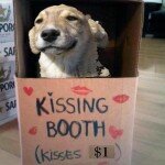 a-dog-kissing-booth