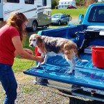 anne-and-our-old-beagle-oscar-rip