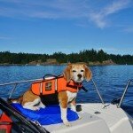 angies-boating-fun-2