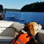 angies-boating-fun-3