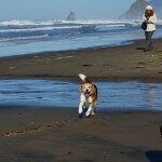 angie-cannon-beach-1