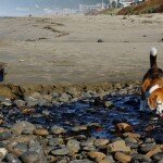 angie-cannon-beach-2