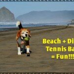 angie-cannon-beach-3