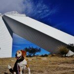 angie-and-the-solar-telescope
