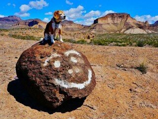 Happy Birthday - Angie makes it to 13 years