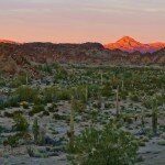 sunset-near-ajo-az