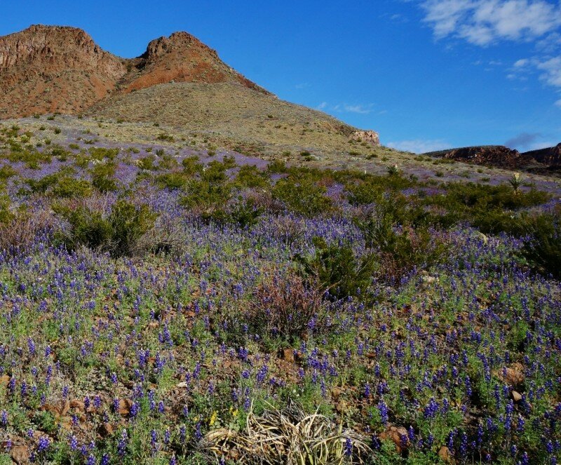 big-bend-ranch-state-park-6