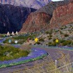 big-bend-ranch-state-park-9