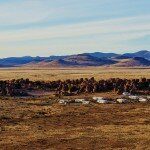 city-of-rocks-state-park-new-mexico