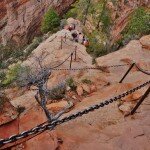 Chained Path Leading to Angels Landing
