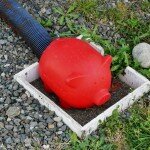 sewiepig-sewer-connection