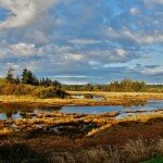 view-from-thunderbird-rv-park-campbell-river-bc