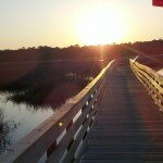 huntington-beach-state-park-sc-4-30-2011